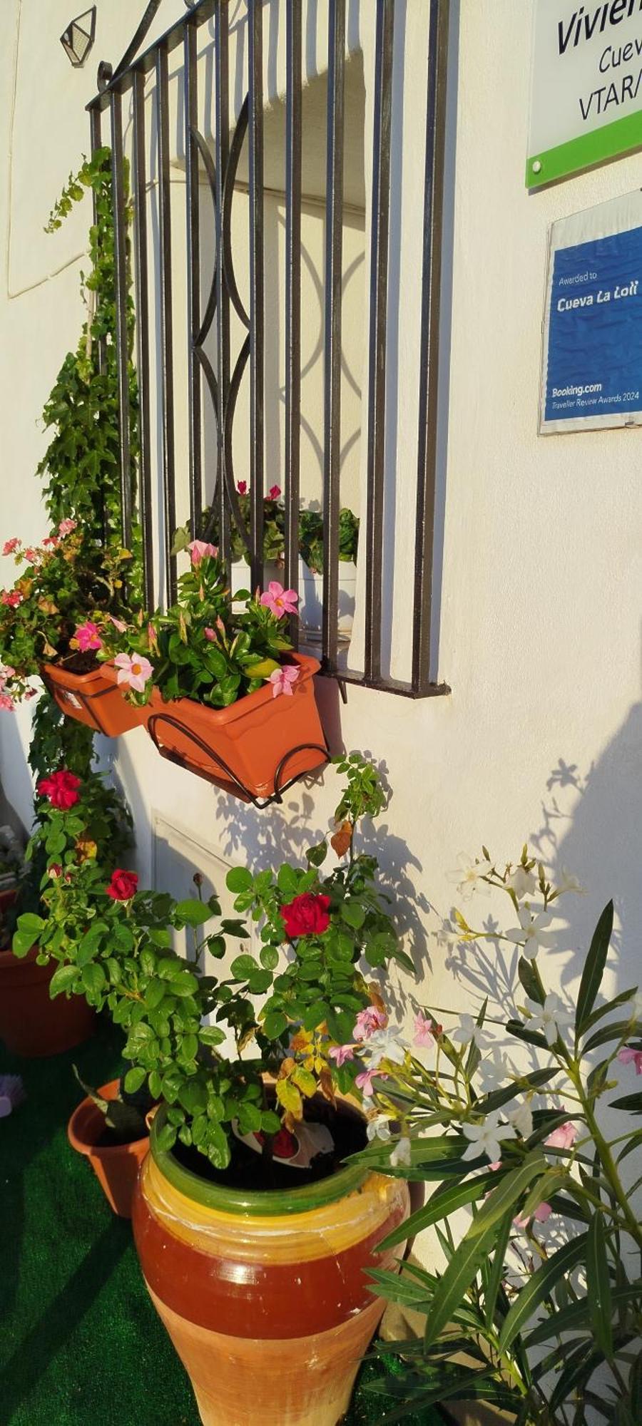 Cueva La Loli Villa Guadix Eksteriør billede